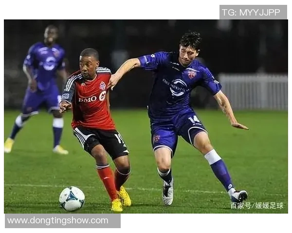 纽约城与西雅图海的文化碰撞与城市魅力深度对比分析